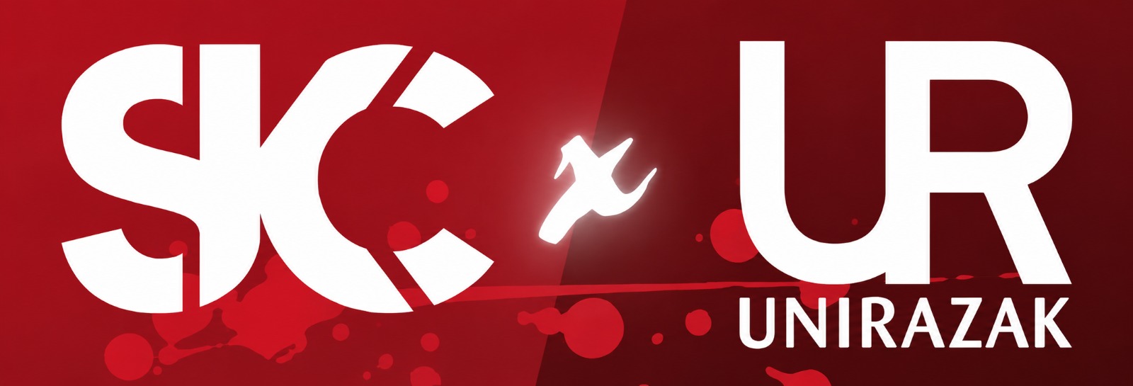 Payload Logo